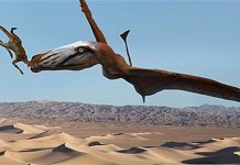 Treasure trove of late Triassic fossils discovered in Utah