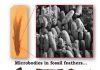 True colors: Using molecular analysis to clarify dino color claims