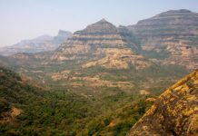 Volcanic activity may have contributed to Cretaceous extinction