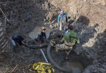 Washtenaw County mammoth find hints at role of early humans