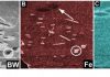 X-ray study reveals new details of how burrowing sea creatures shape geology