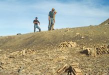 A new look at an old jaw clarifies mammal evolution