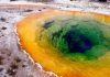 A whiff from blue-green algae likely responsible for Earth’s oxygen