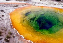 A whiff from blue-green algae likely responsible for Earth’s oxygen