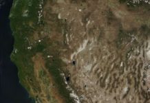 Earthquakes recorded through fossils