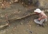 Findings Rock Long-Held Assumptions about Ancient Mass Extinction