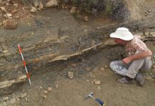 Findings Rock Long-Held Assumptions about Ancient Mass Extinction