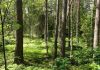 Melting Scandinavian ice provides missing link in Europe’s final Ice Age story