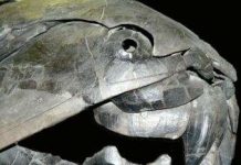 New theory on Earth’s biggest mystery