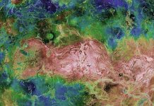 Plate tectonics thanks to plumes?