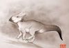 Rare fossil of a horned dinosaur found from ‘lost continent’