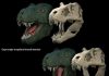 The better to eat you with? How dinosaurs’ jaws influenced diet