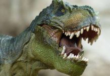 The mighty dinosaurs were bugged by other critters