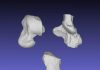 A well-preserved skeleton reveals the ecology and evolution of early carnivorous mammals