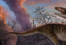 Dinosaur relatives and first dinosaurs more closely connected than previously thought