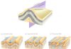 Geological Folds