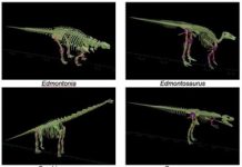 Get a scary Jurassic perk for T-Rexmas
