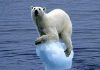 Global warming disaster could suffocate life on planet Earth