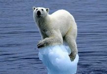 Global warming disaster could suffocate life on planet Earth