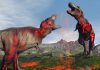 Mammal diversity exploded immediately after dinosaur extinction