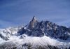 Mountain growth helped spawn fish diversity in New Zealand