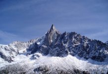 Mountain growth helped spawn fish diversity in New Zealand