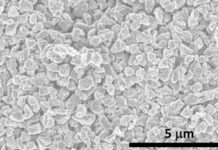 New Phase of Carbon harder than diamond