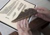North America’s newest pterosaur is a Texan