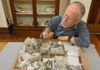 Tiny new North Pacific fossil whale from 30 million years ago