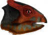 Triceratops gets a cousin: Researchers identify another horned dinosaur species