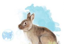 An ancestor of the rabbit connects Europe and Asia