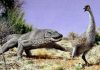 Ancient extinction of giant Australian bird points to humans
