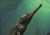 Bone-crushing prehistoric reptile the largest marine crocodile ever discovered