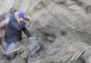 Bones of hunted mammoth show early human presence in Arctic