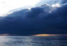 Current pace of environmental change is unprecedented in Earth’s history