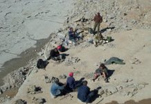 Deep-water ocean circulation, marine biodiversity and climate change