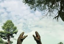 Dinosaurs may have been the original lovebirds, discovery shows