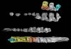 Earliest-known treeshrew fossil found in Yunnan, China