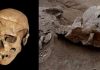 Evidence of a prehistoric massacre extends the history of warfare