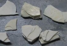 How seashells get their strength