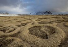 Human-made climate change suppresses the next ice age