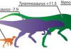 Paleontologists link leg length to running ability in bipedal carnivorous dinosaurs
