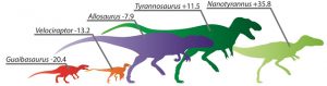 Paleontologists%2Blink%2Bleg%2Blength%2Bto-GeologyPage.jpg