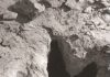 Researchers track tyrannosaur’s trail