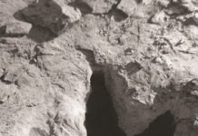 Researchers track tyrannosaur’s trail