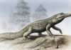 Sneaky crocodiles occupied sauropod hatcheries