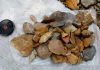 Stone-age tools found, but who wielded them?