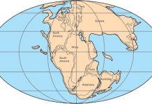 Coal formation linked to assembly of supercontinent Pangea
