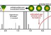 Consistency of Earth’s magnetic field history surprises scientists