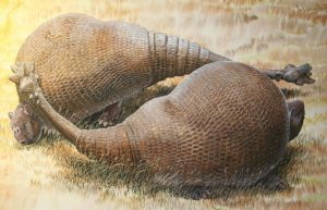 Extinct glyptodonts really-GeologyPage